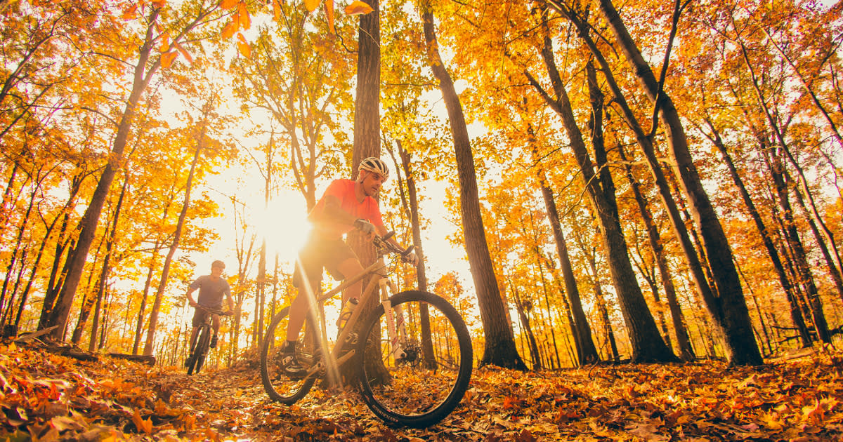 Embrace Fall and Winter Riding: Maintenance, Comfort, and Indoor Tips